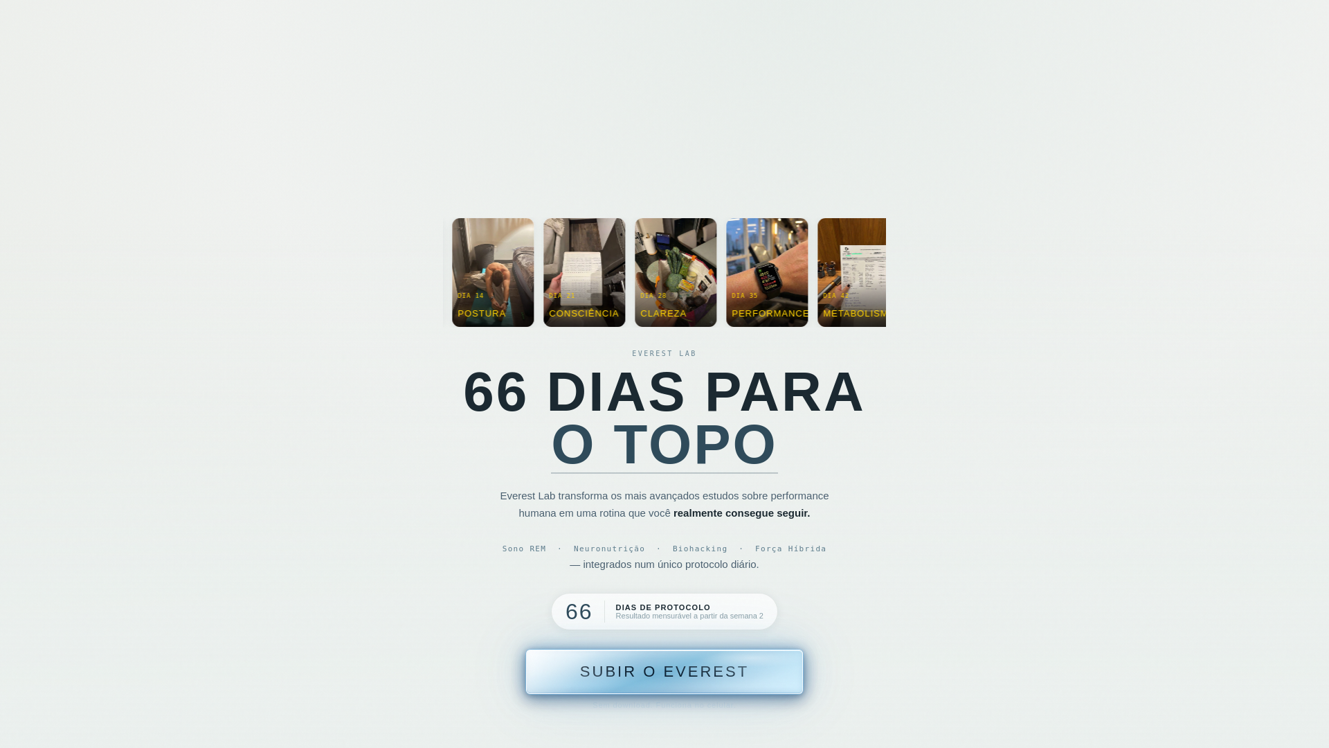 website screenshot of https://everestlab.com.br/