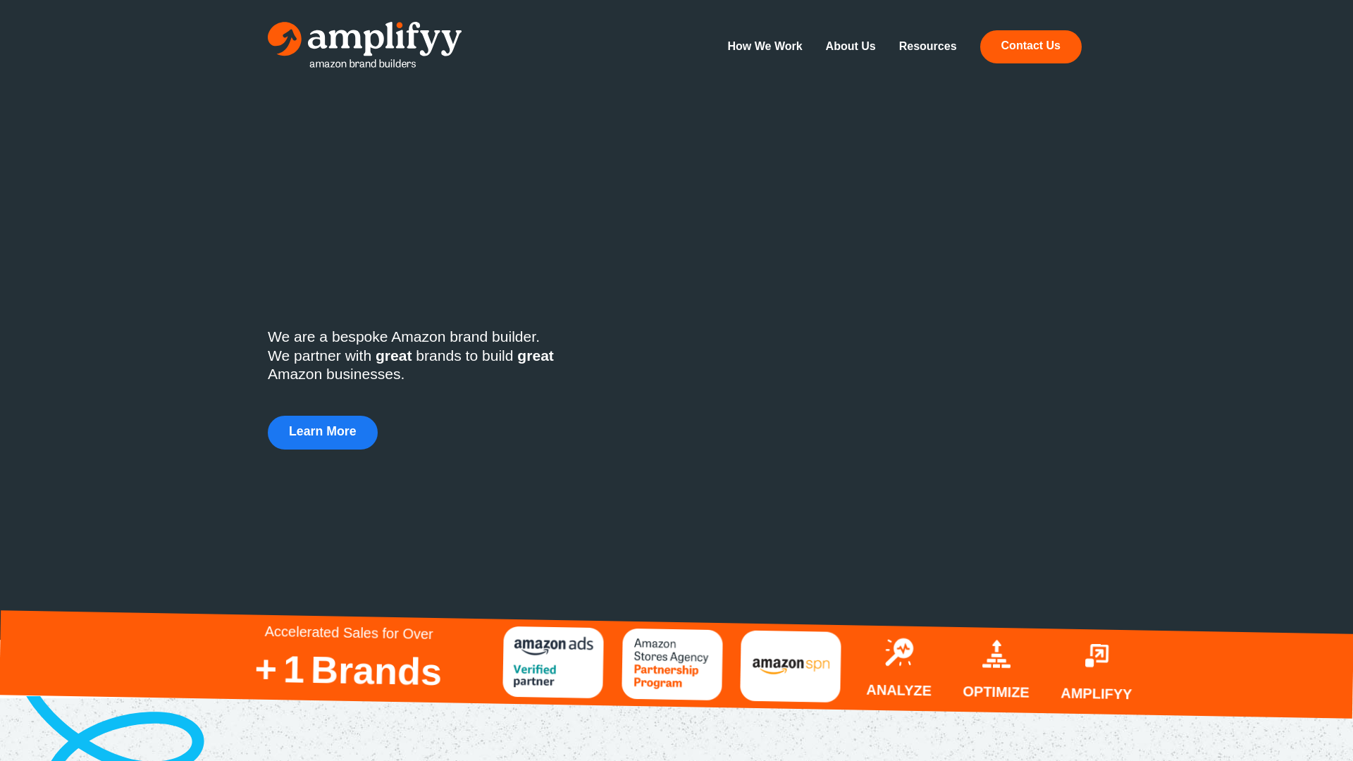 website screenshot of https://amplifyymentorx.info