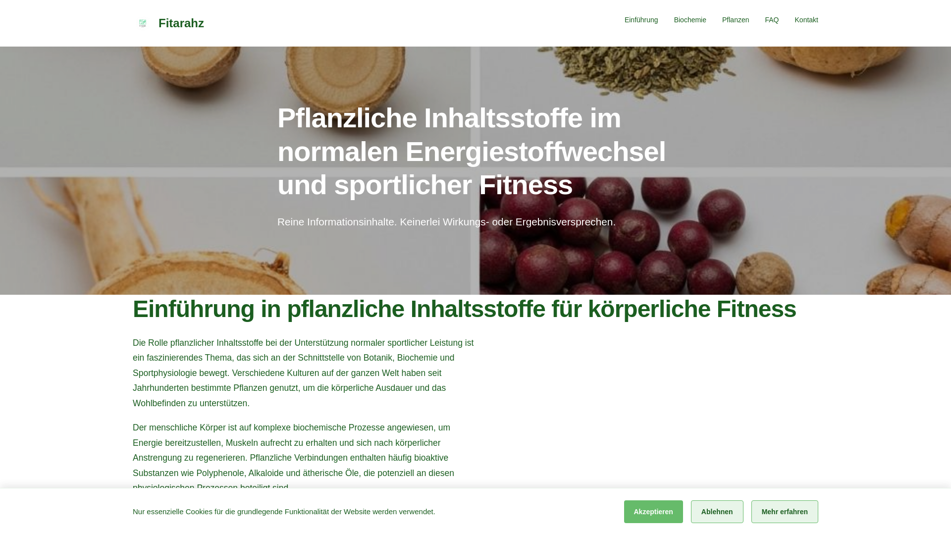 website screenshot of https://fitarahz.info/