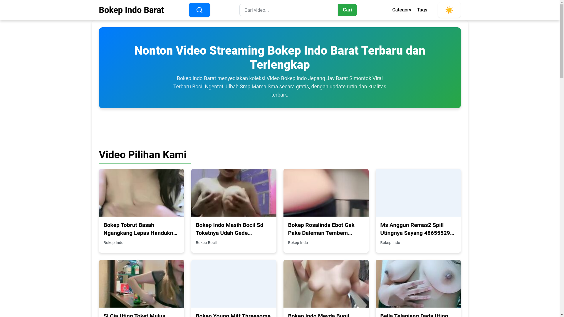website screenshot of https://bokepindobarat.pages.dev/