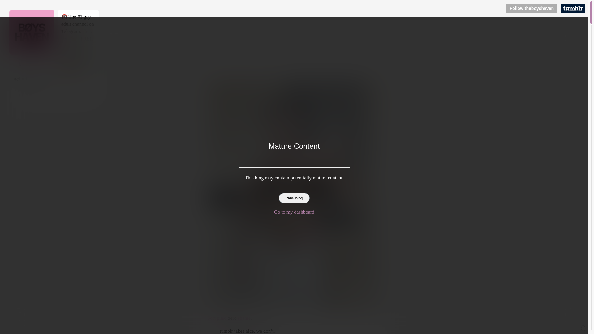website screenshot of https://theboyshaven.blog/