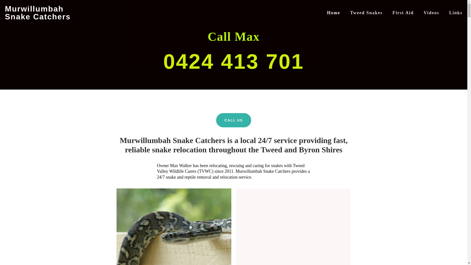 website screenshot of https://murwillumbahsnakecatchers.online/