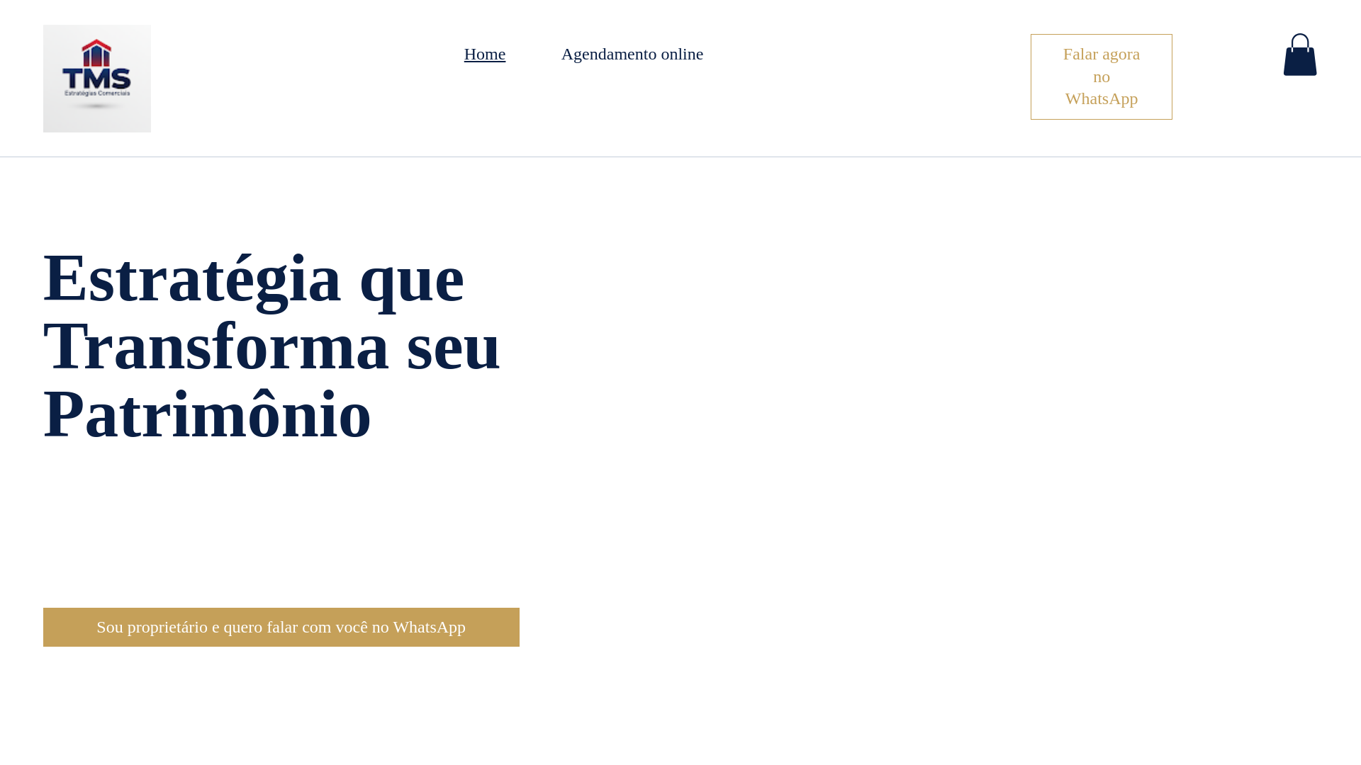 website screenshot of https://thiagospinelli.com/