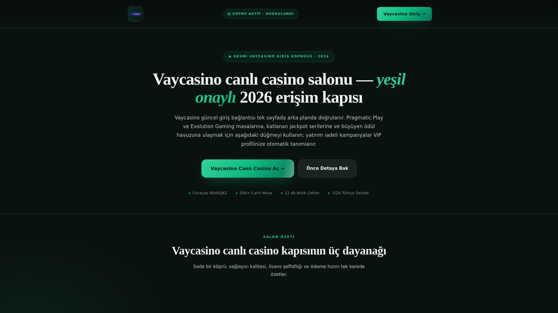 website screenshot of https://vaycasinoorjinalgiris.icu/
