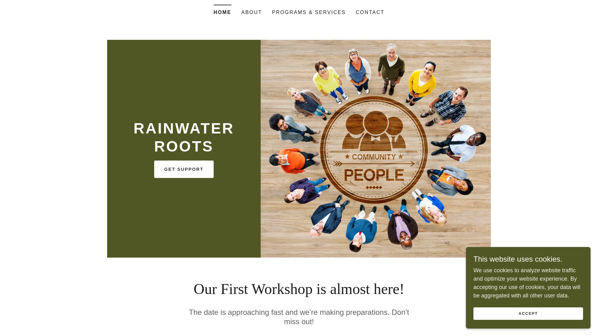 website screenshot of https://rainwaterroots.org/