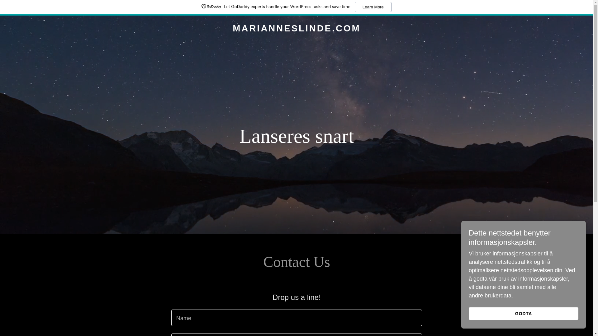 website screenshot of https://marianneslinde.com/