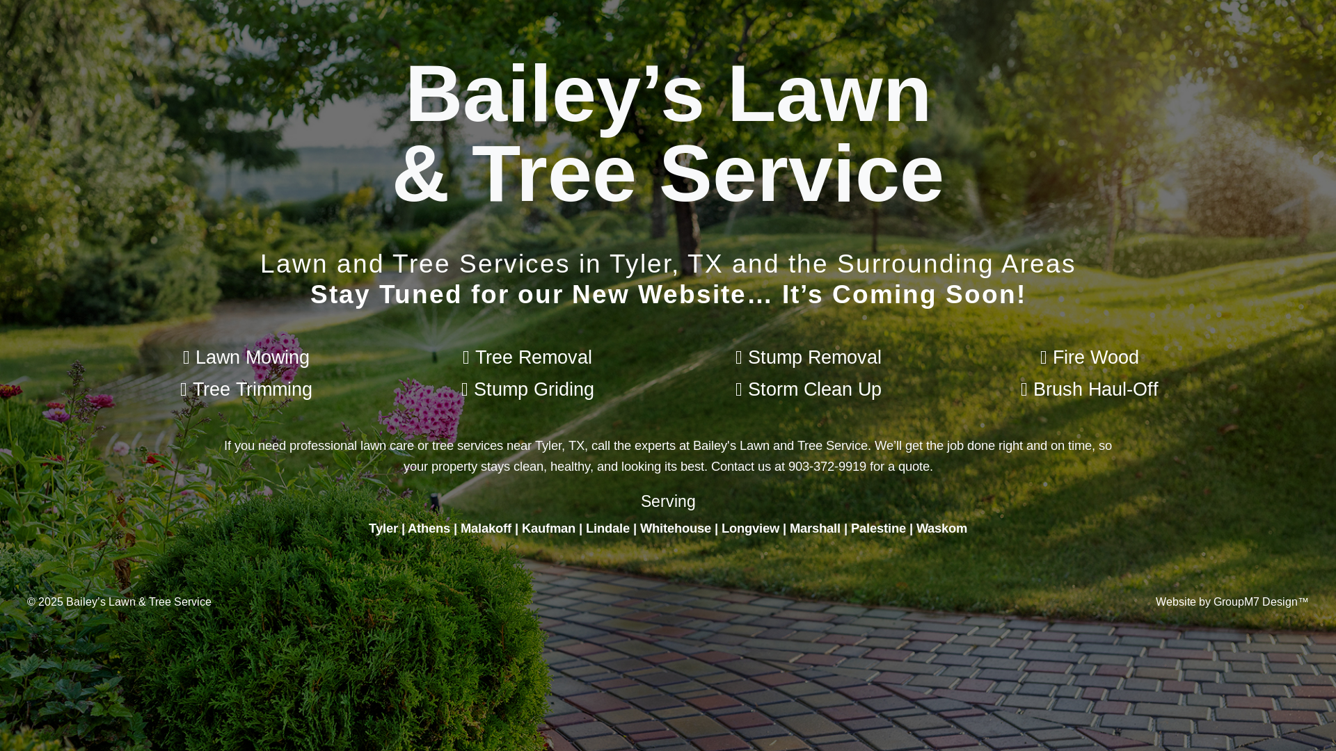 website screenshot of https://baileyslawnandtree.com/