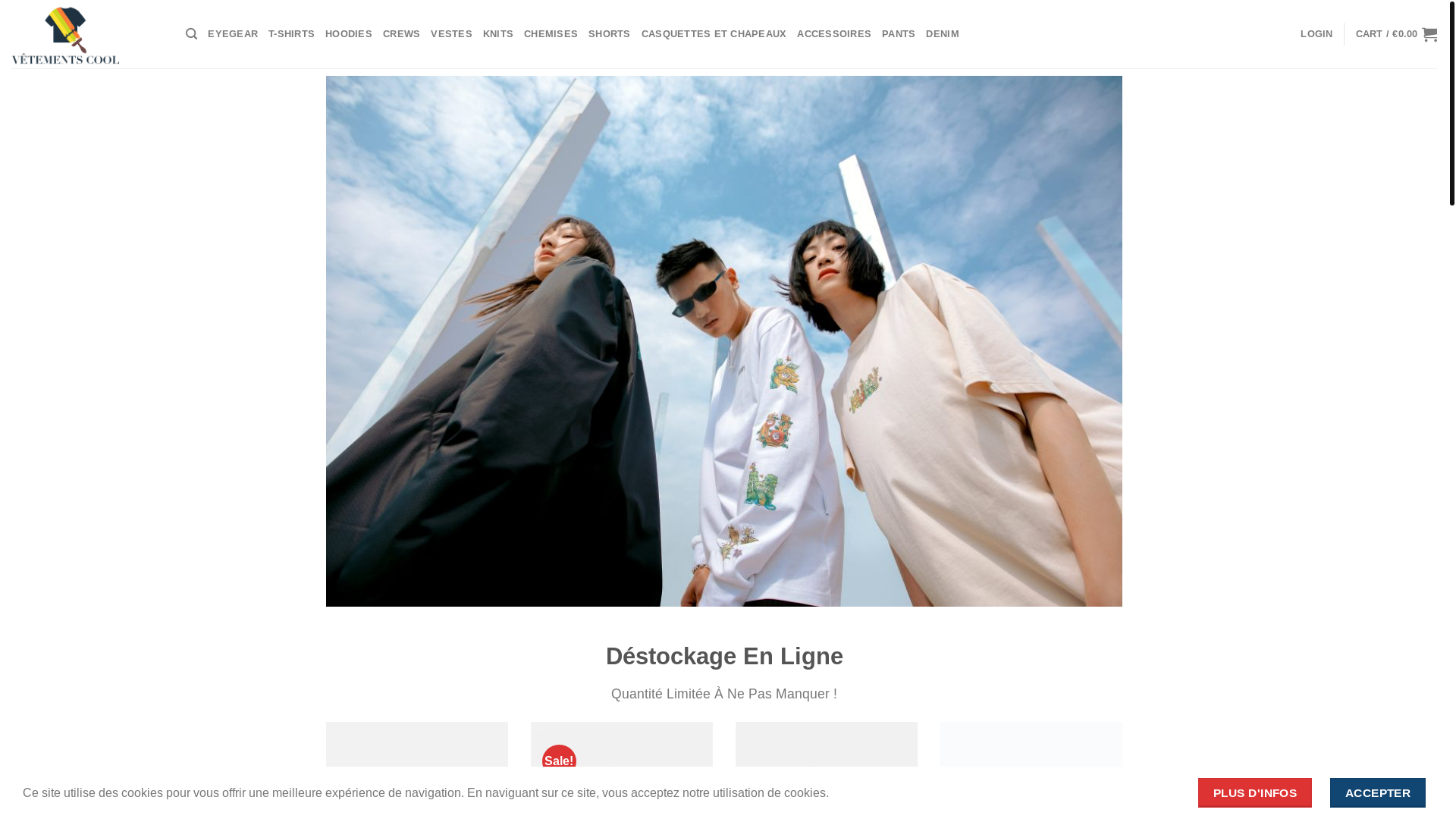 website screenshot of https://vetementcool.com/