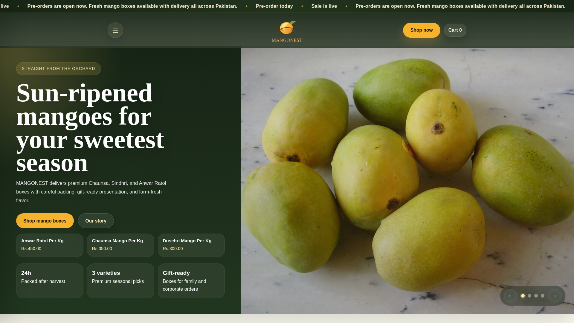 website screenshot of https://mangonest.store/