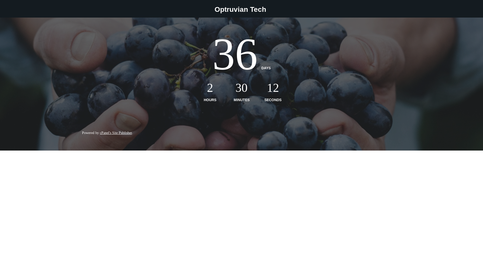 website screenshot of https://optruvian.com/