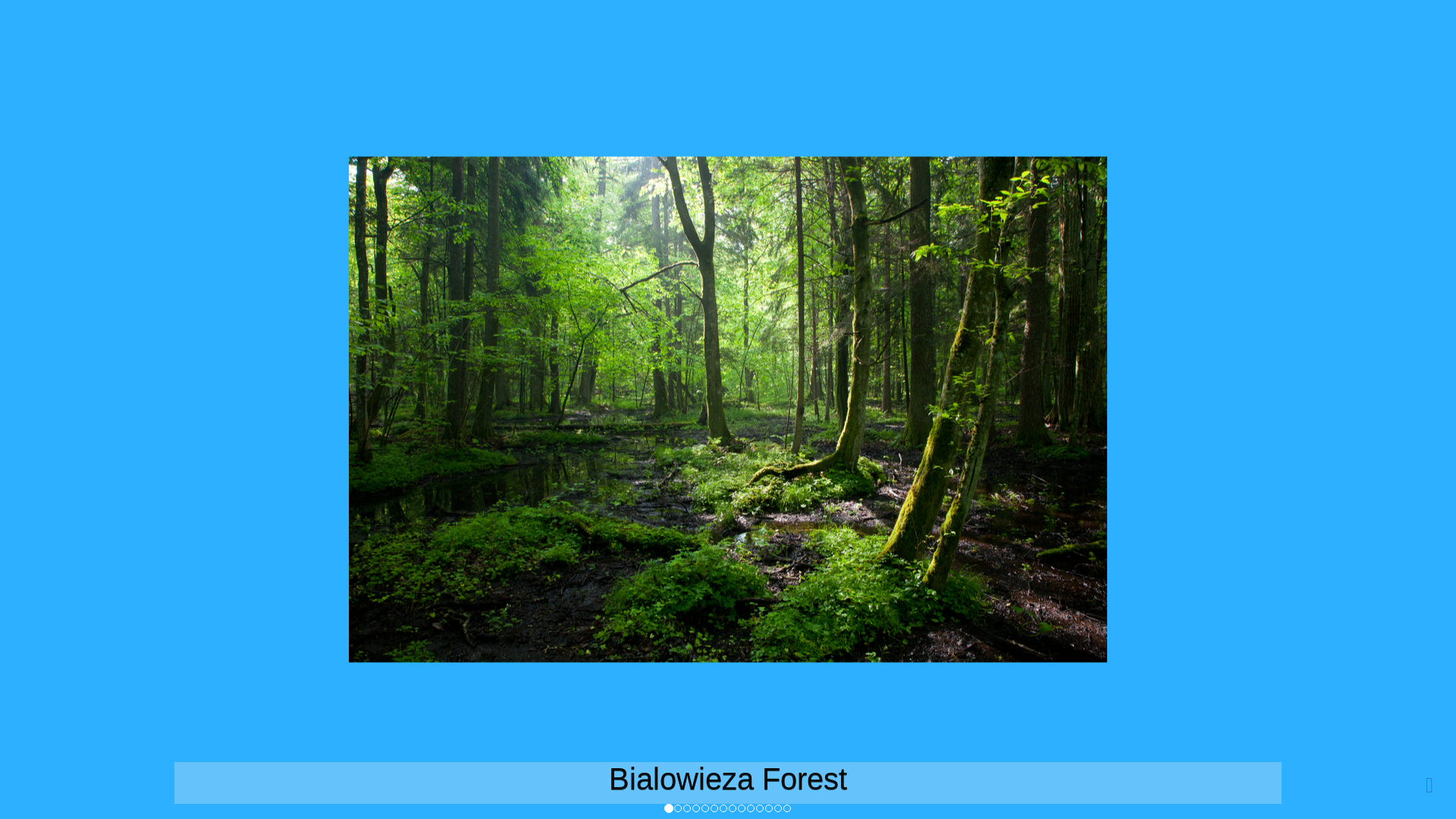 website screenshot of https://6a2ed476-4064-f71a-0683-56a4bce6ce11-ci-qa.pages.dev/