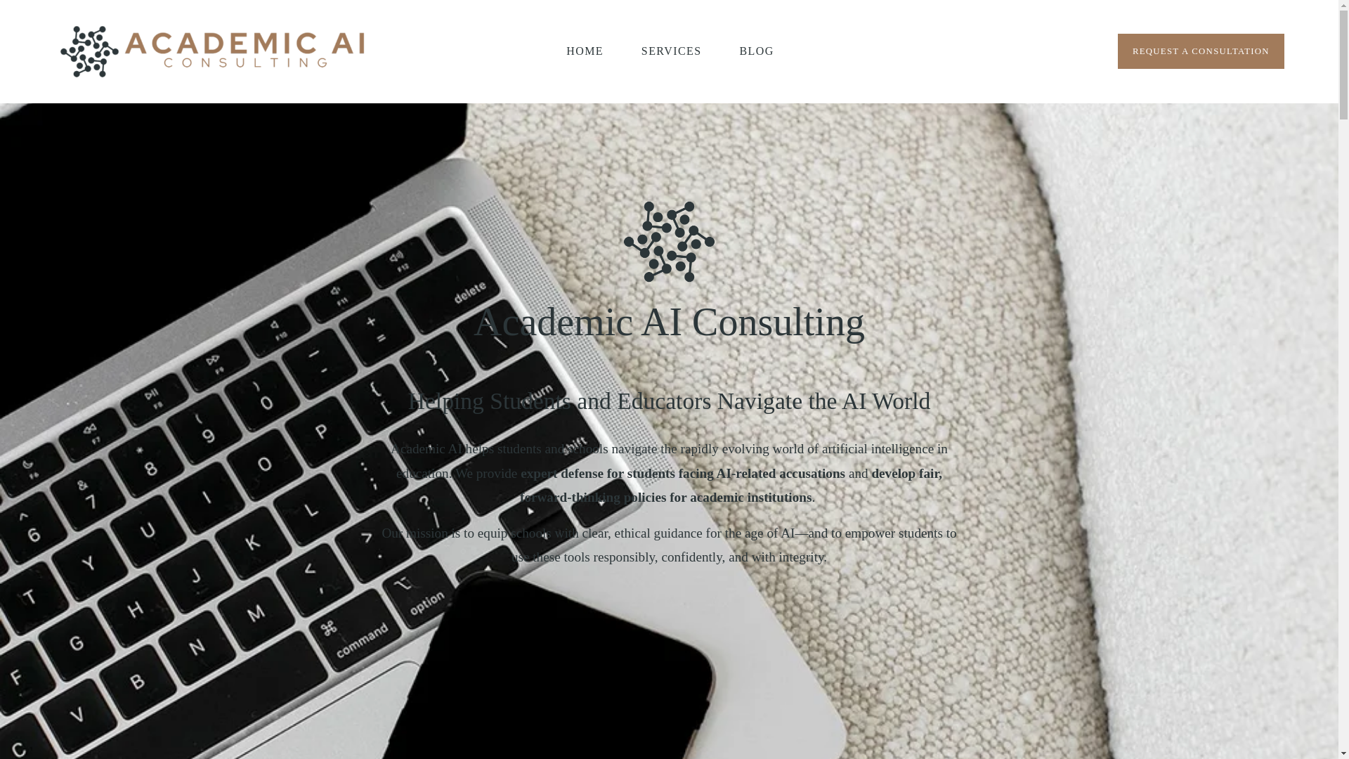 website screenshot of https://academicaiconsulting.com/