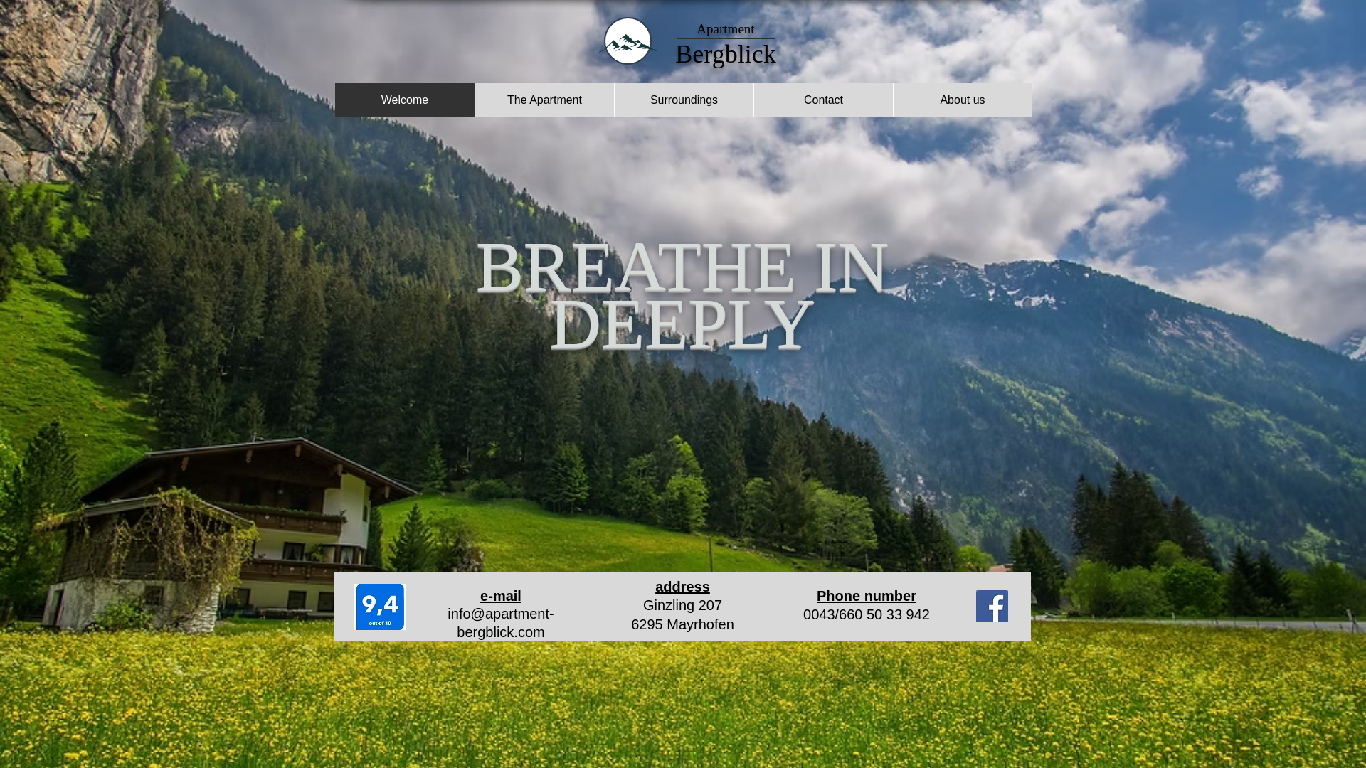 website screenshot of https://apartmentbergblick.com/