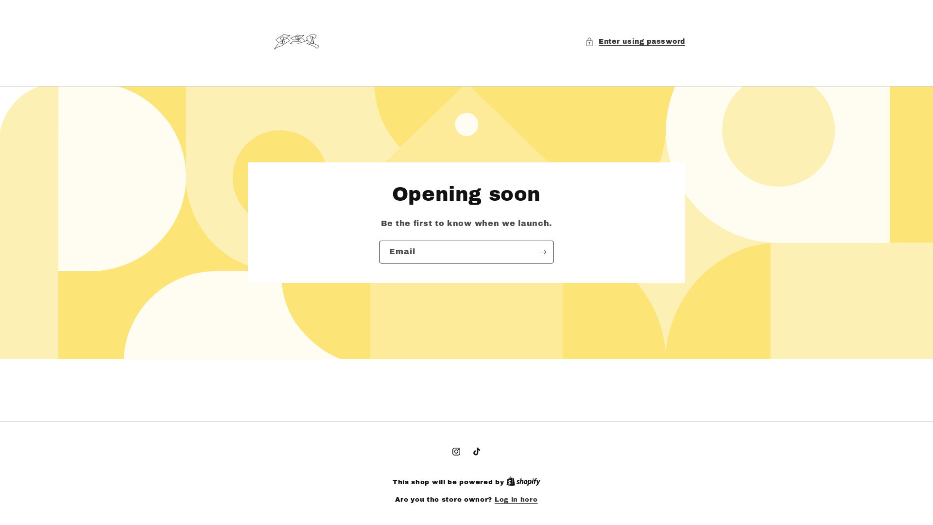 website screenshot of https://southsidelegacy.store/