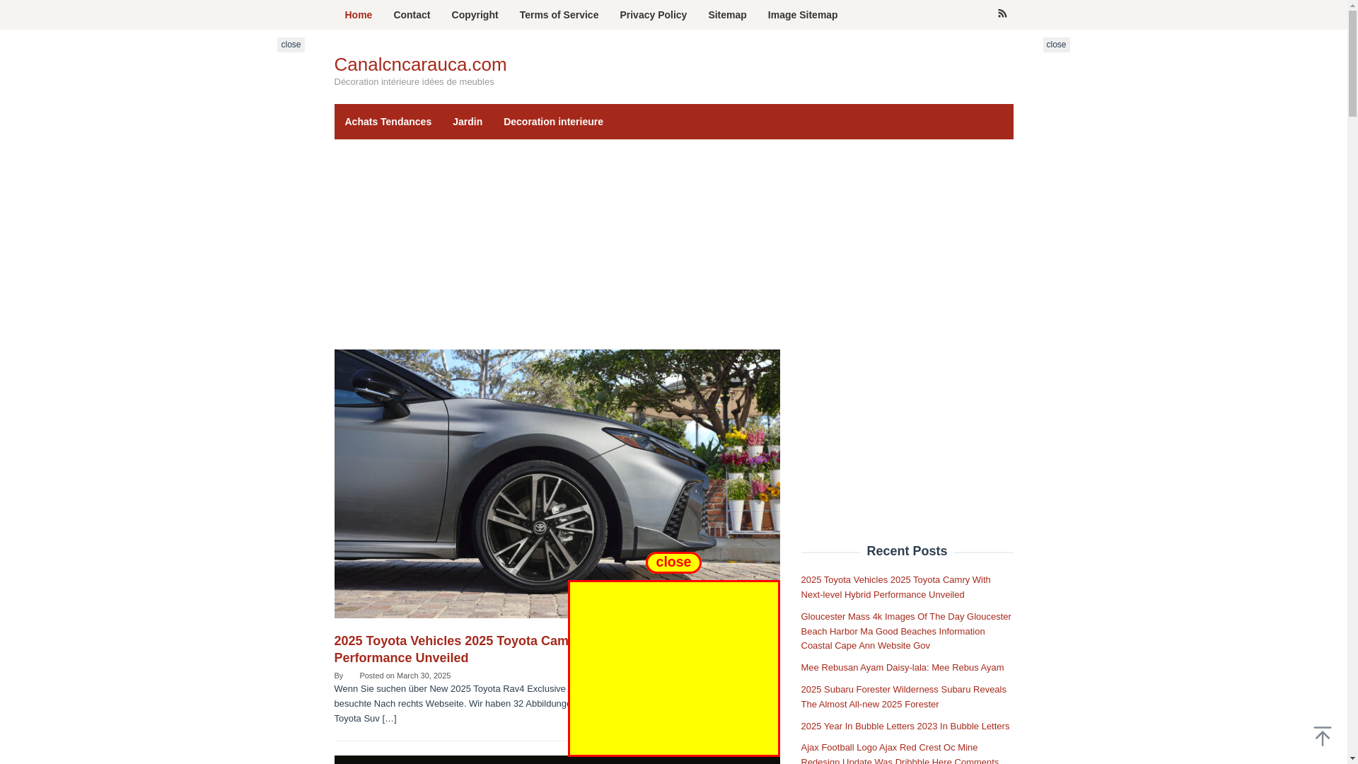 website screenshot of https://canalcncarauca.com/