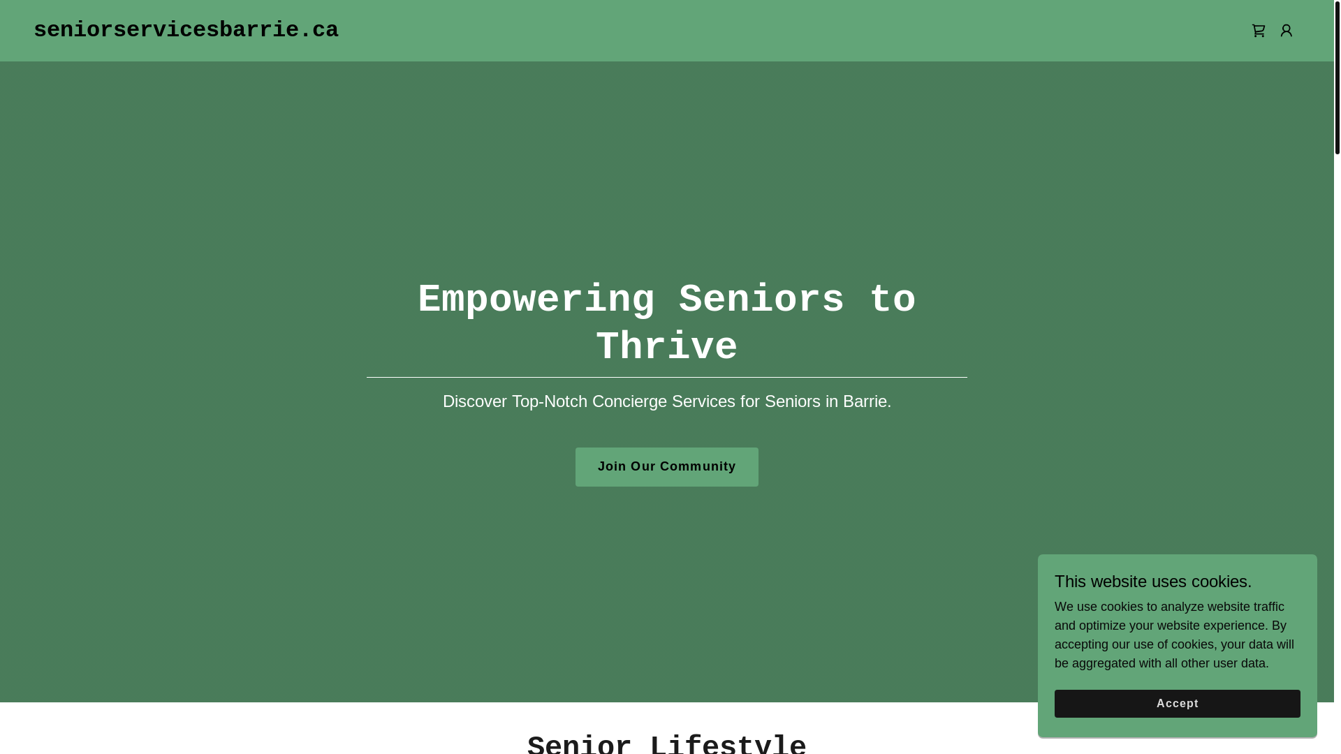 website screenshot of https://seniorservicesbarrie.ca/