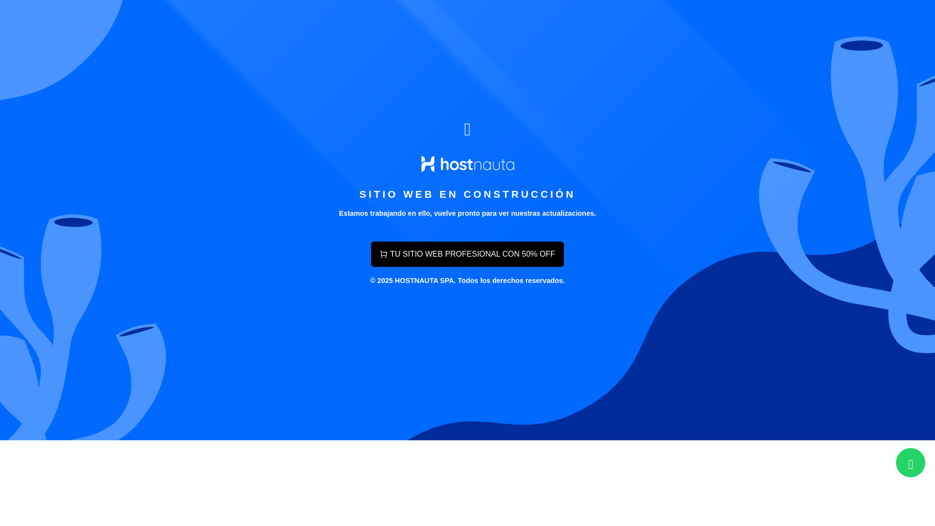 website screenshot of https://altosnavas.cl/