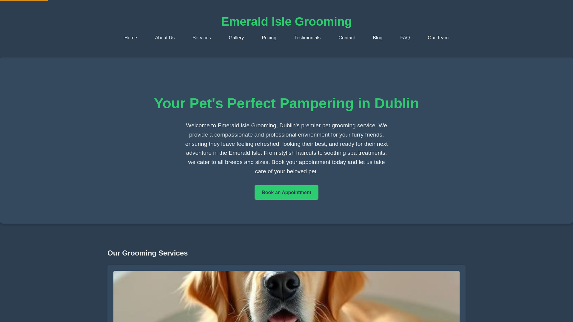 website screenshot of https://cebytasef.pro/