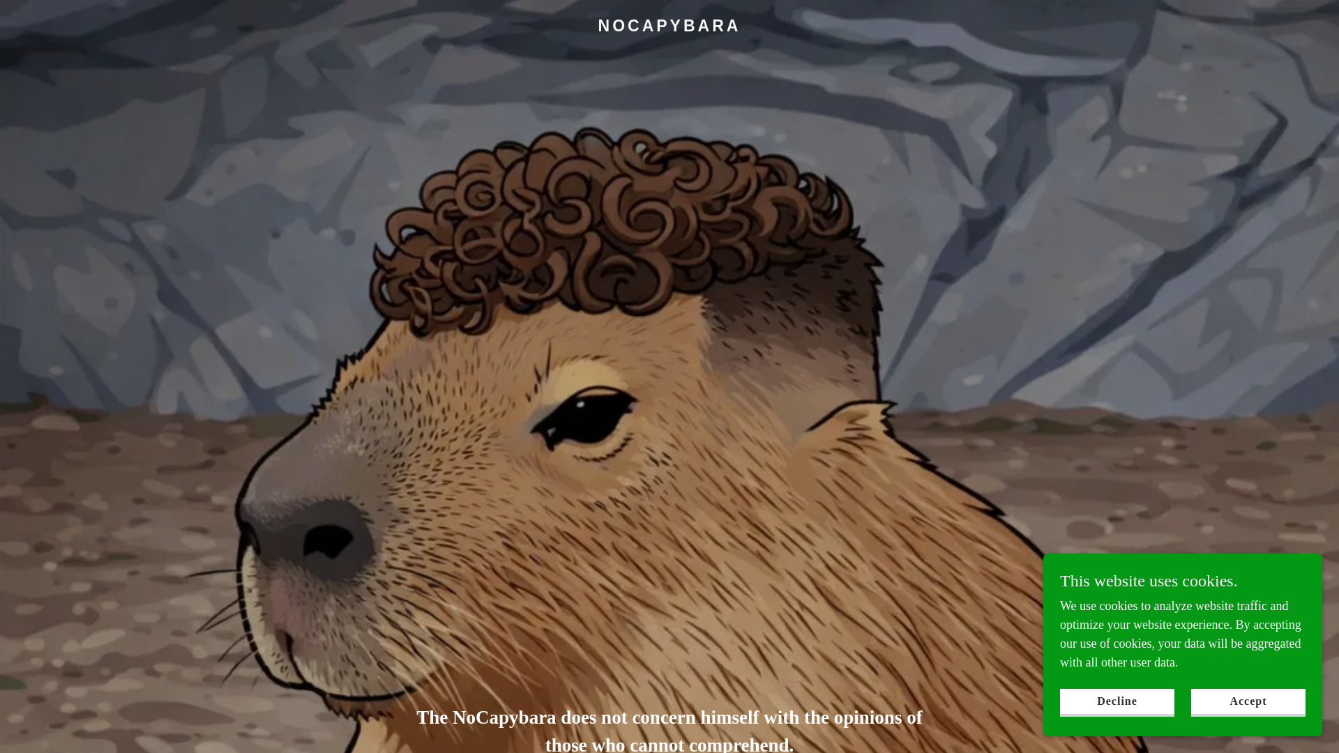 website screenshot of https://nocapybara.fun/