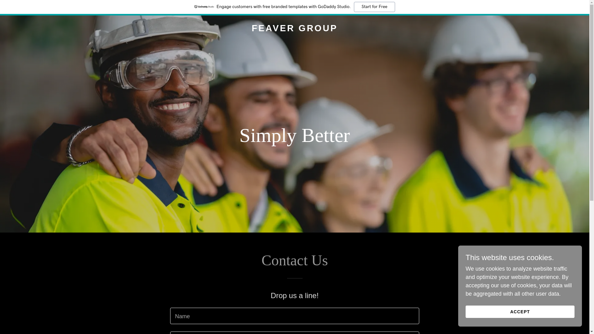 website screenshot of https://feavergroup.com.au/