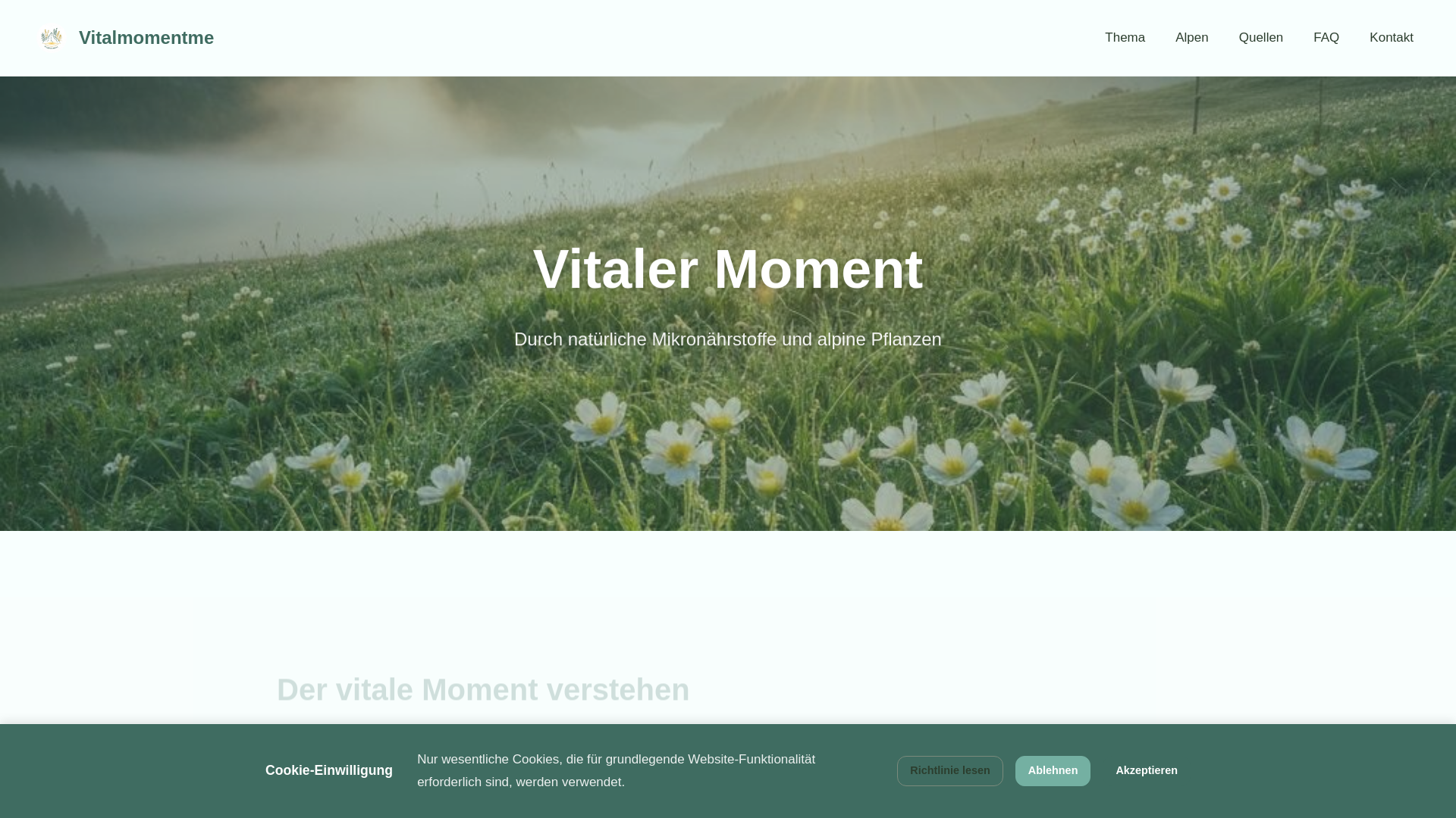 website screenshot of https://vitalmomentme.info/