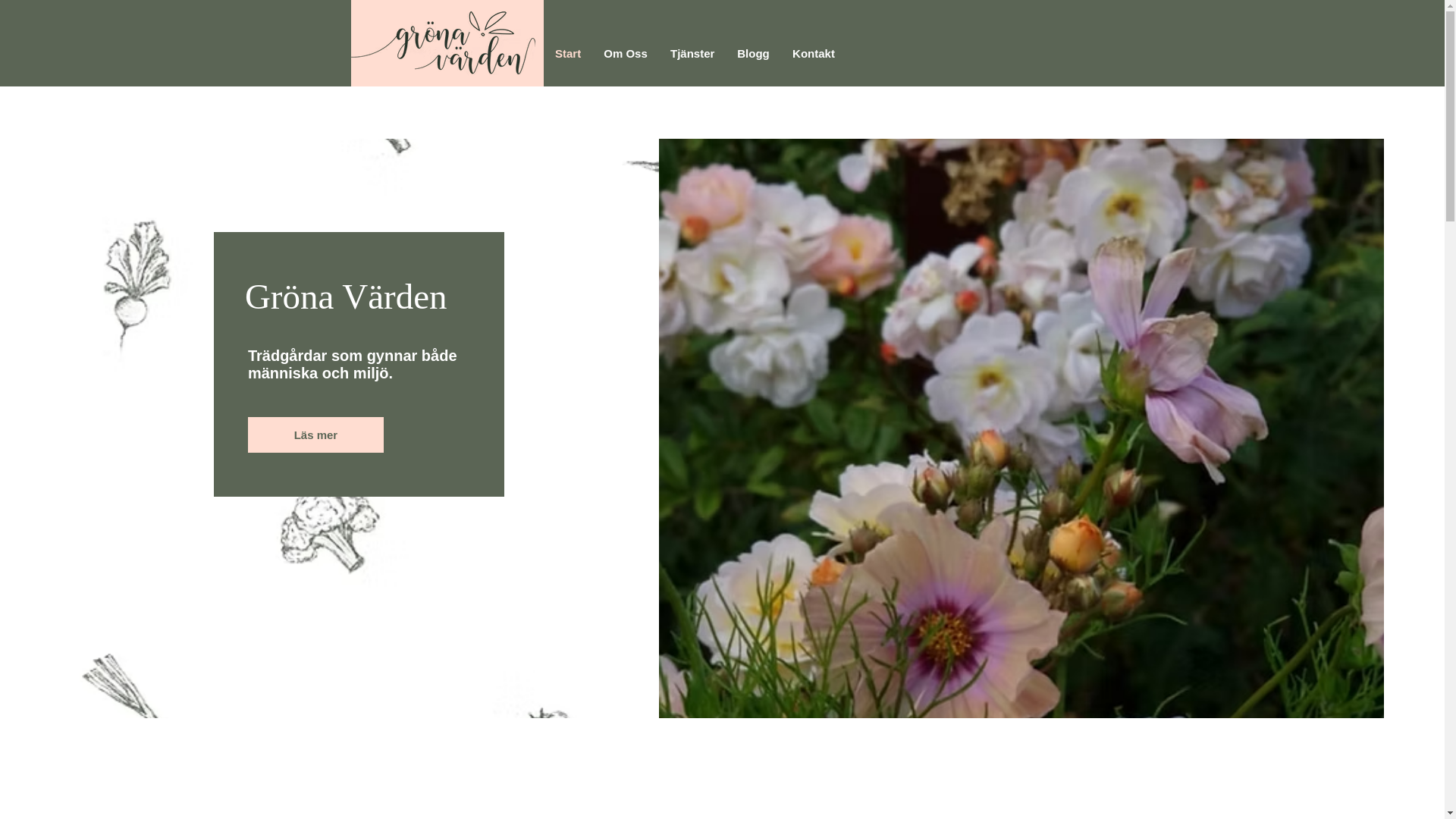 website screenshot of https://gronavarden.com/