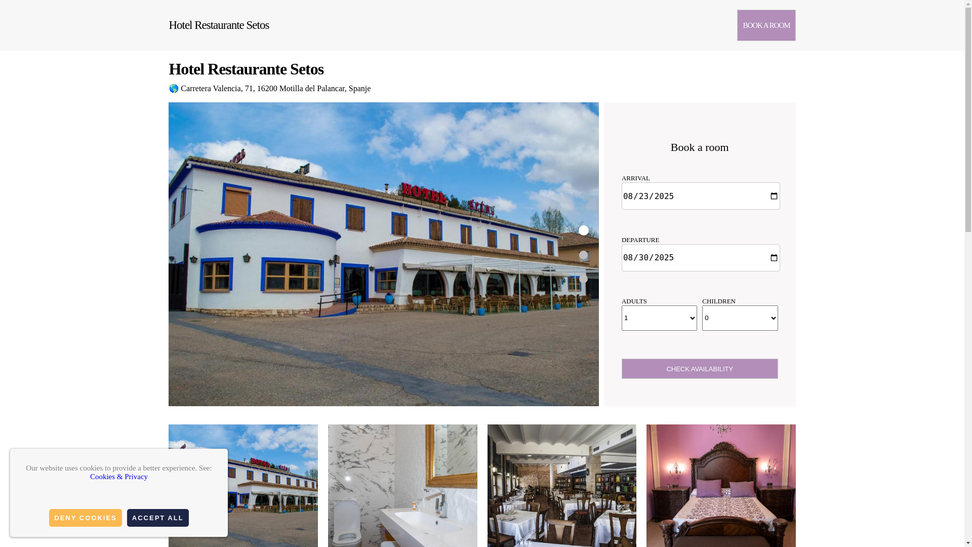 website screenshot of https://seto-del-palancar.com.es/