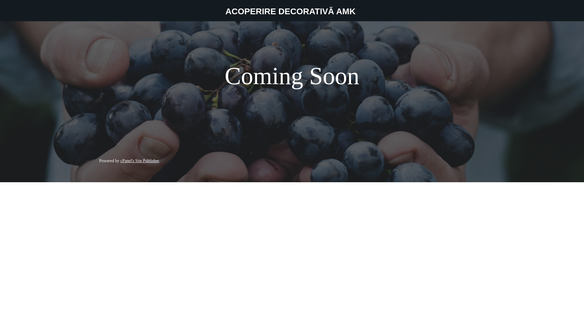 website screenshot of https://amkfasad.ro/