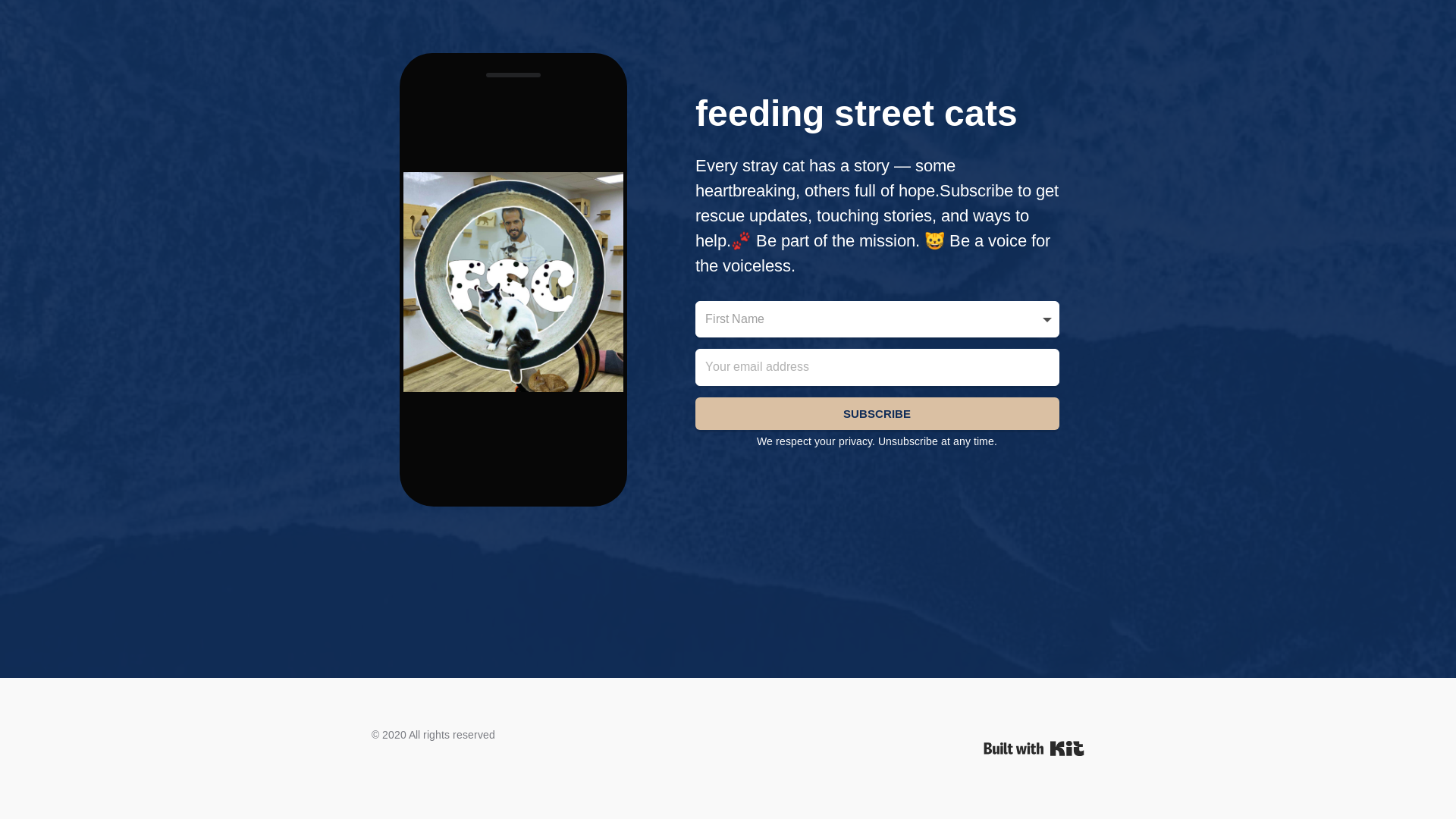 website screenshot of https://feedingstreetcats.news/