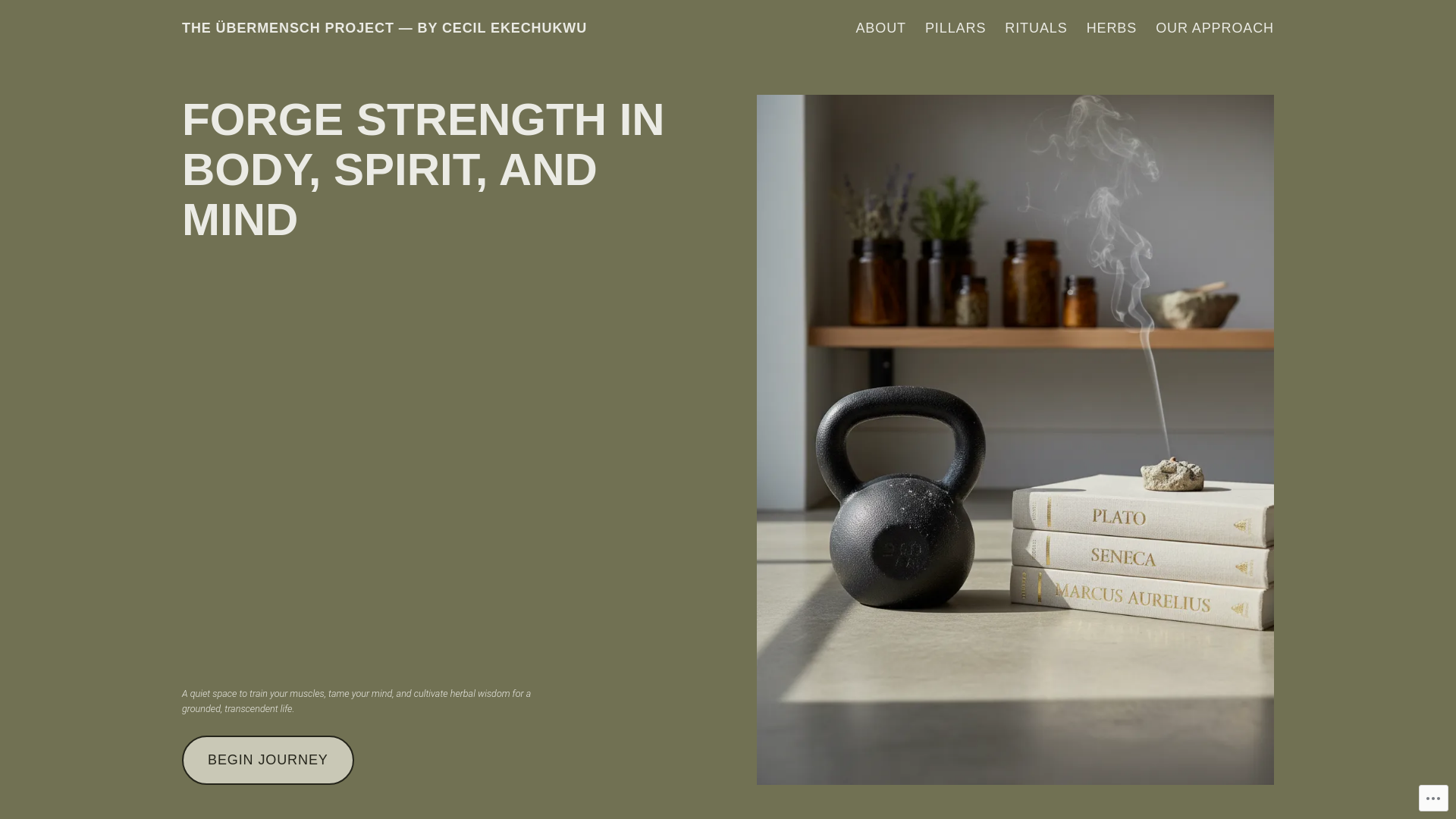 website screenshot of https://cecilekechukwu.com/