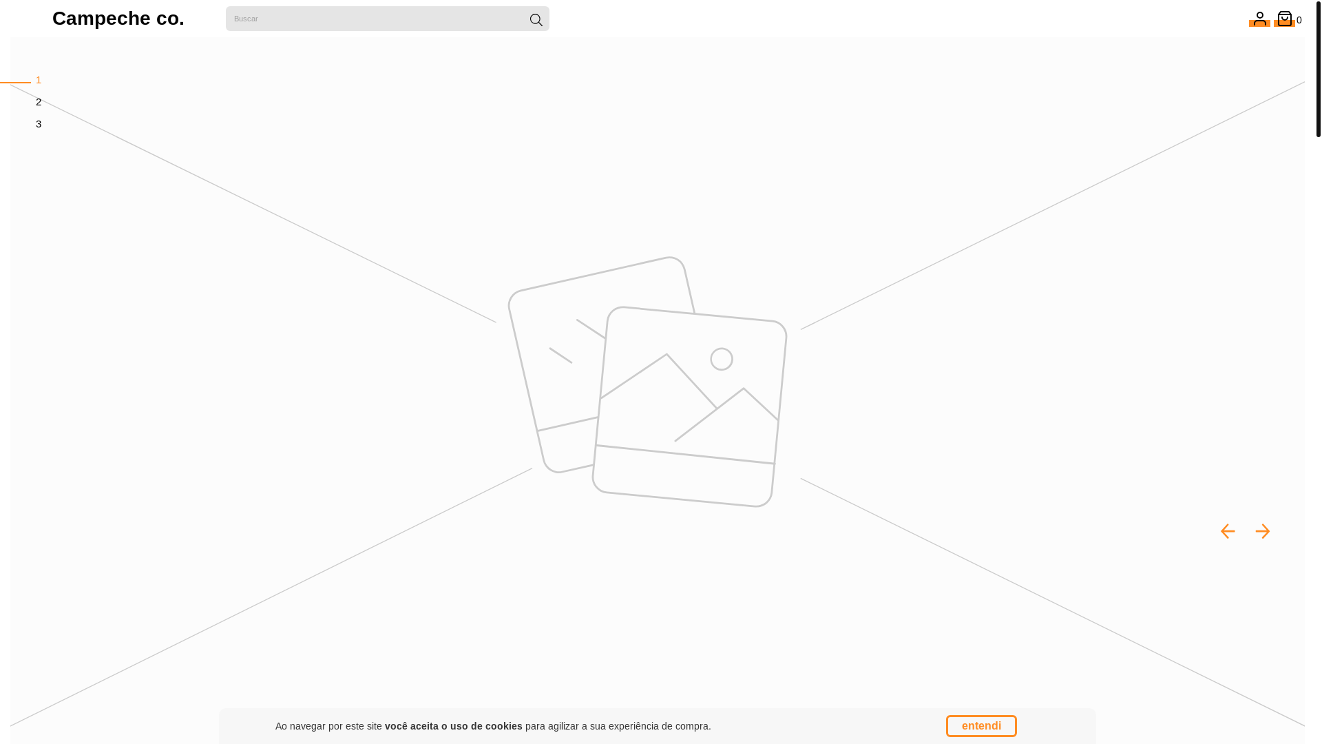 website screenshot of https://campecheco.com.br/