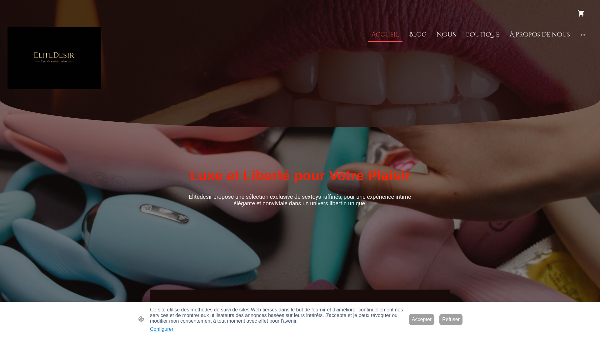 website screenshot of https://elitedesir.fr/