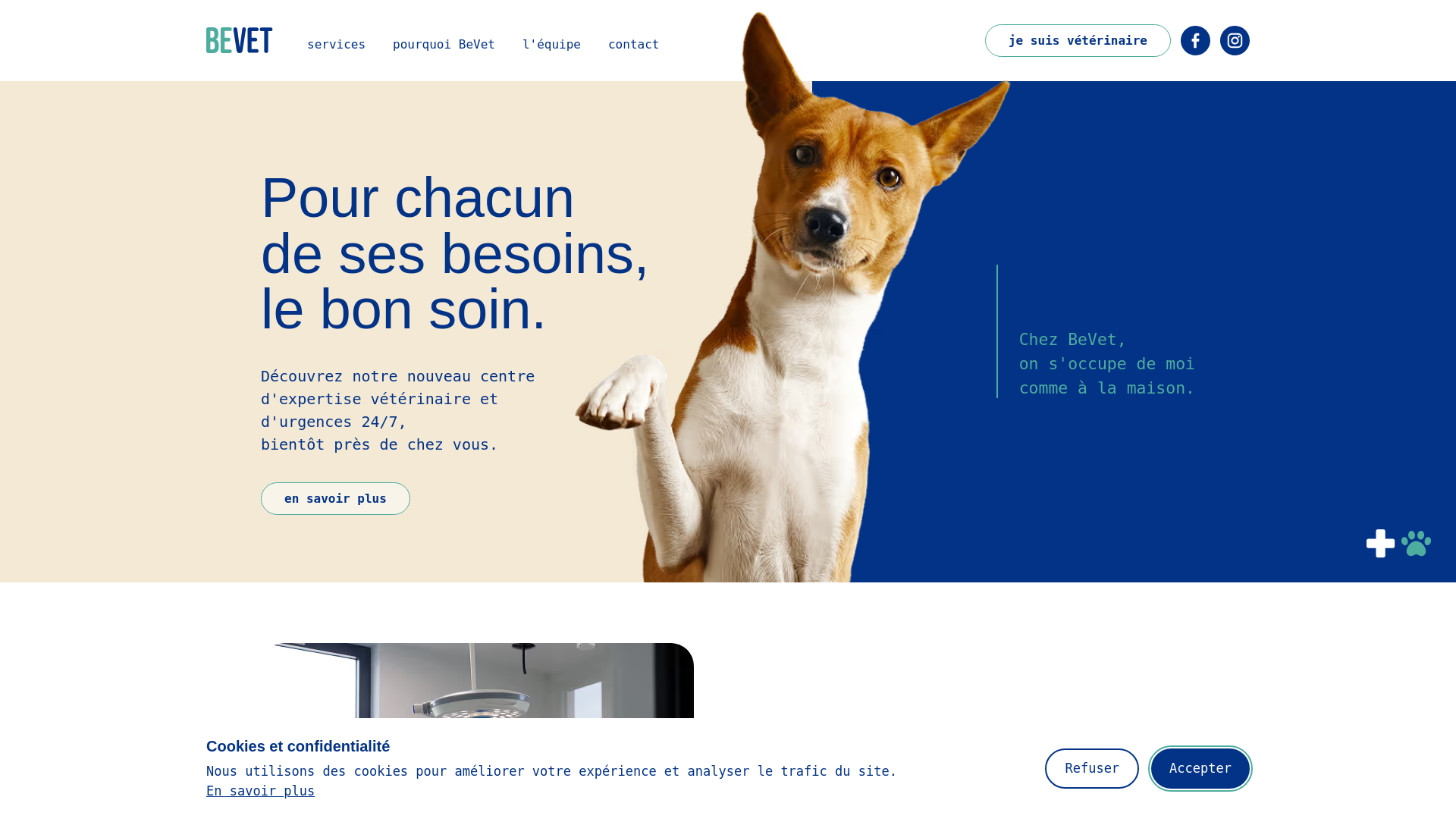 website screenshot of https://bevetbruxelles.be