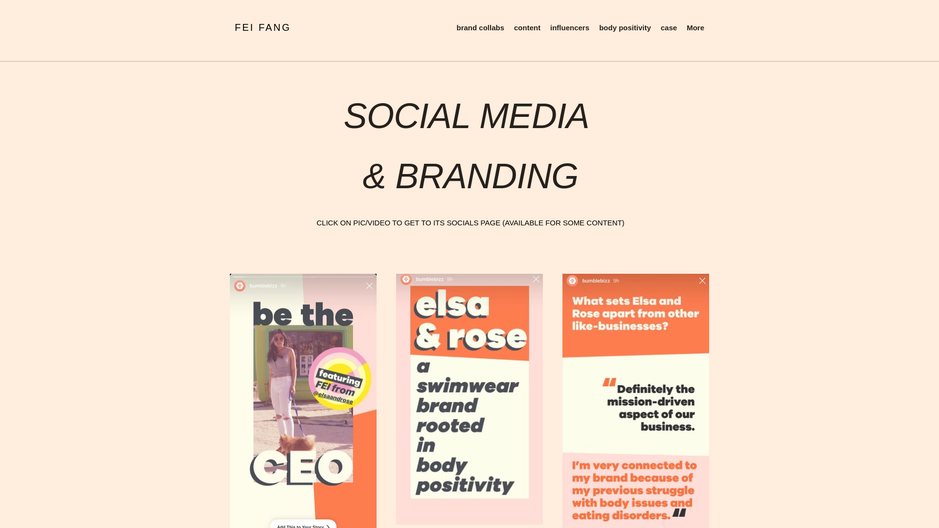 website screenshot of https://itsfeifang.com/