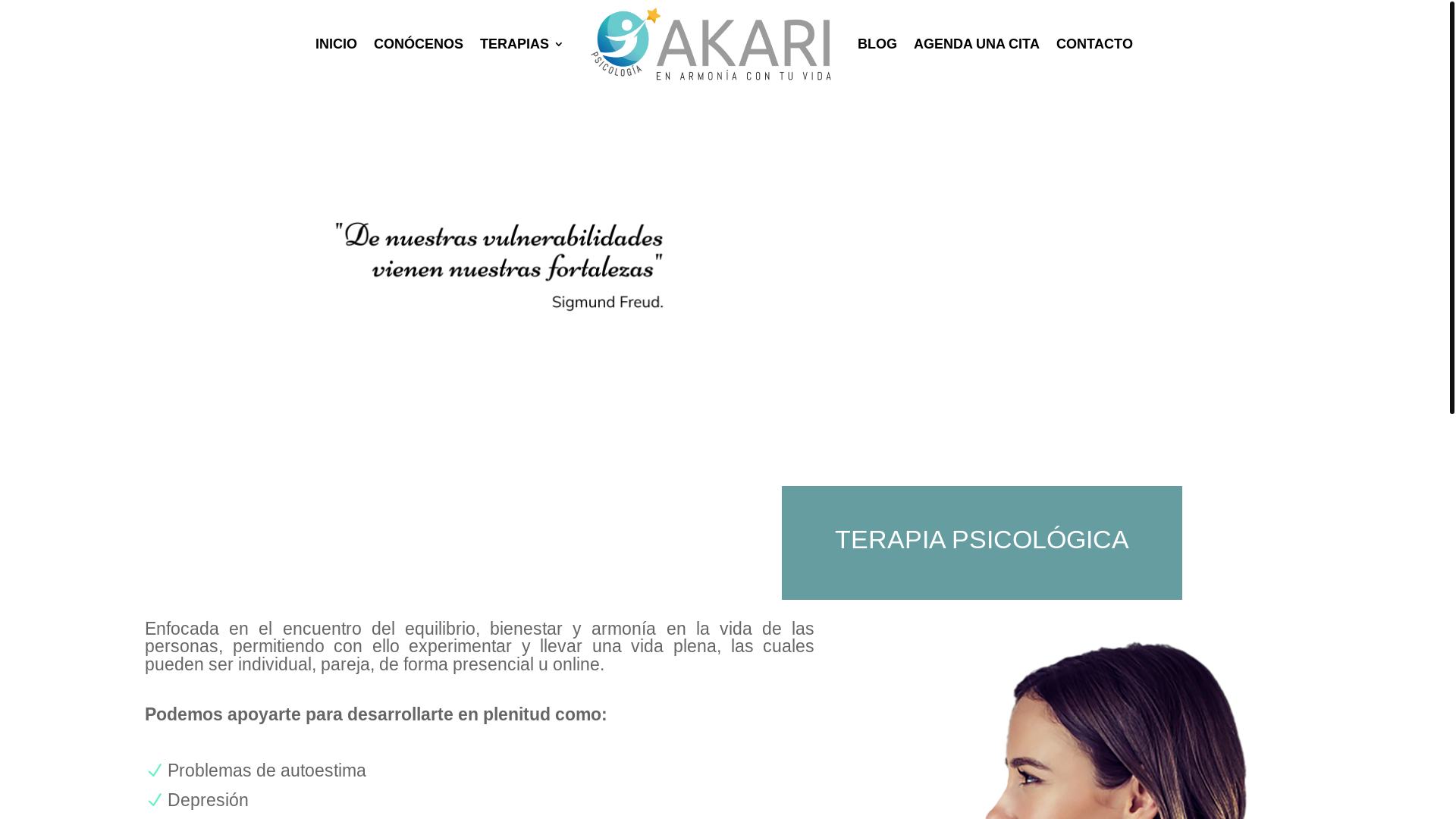 website screenshot of https://psicologiakari.com/terapia-psicologica-2/