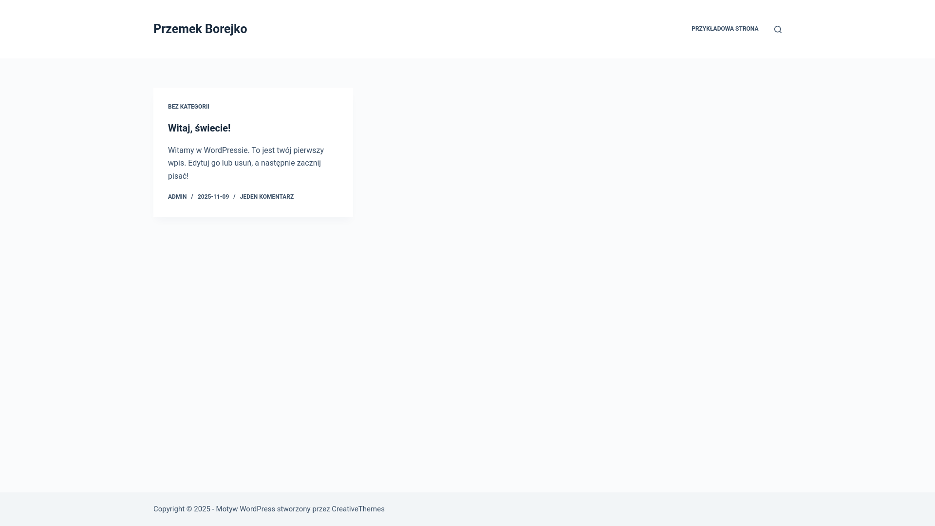 website screenshot of https://przemekborejko.pl/