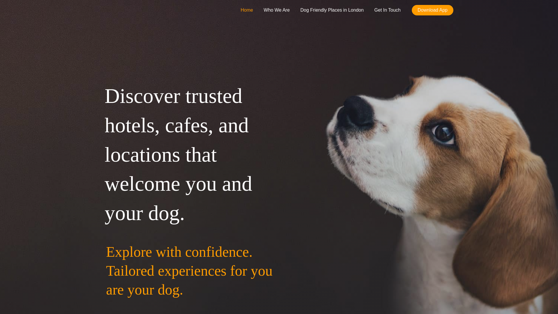 website screenshot of https://tourwithpaws.com/