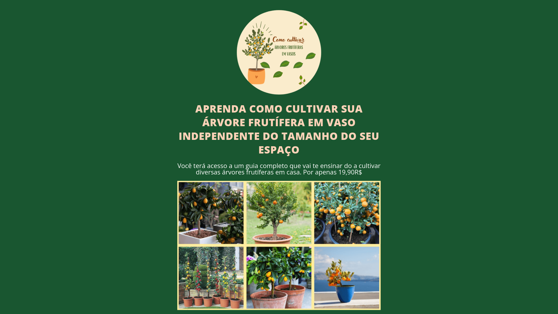 website screenshot of https://agroescola.site