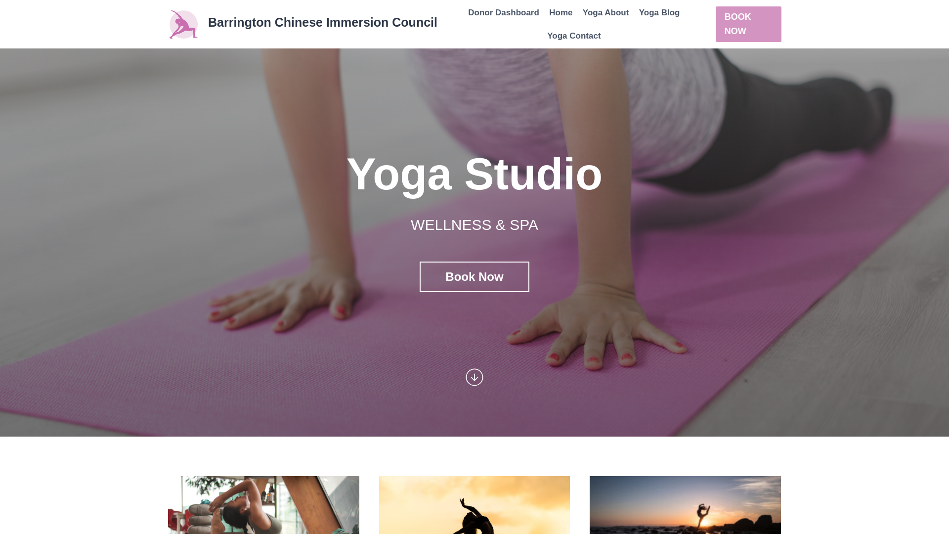 website screenshot of https://bcic220testbuild.org