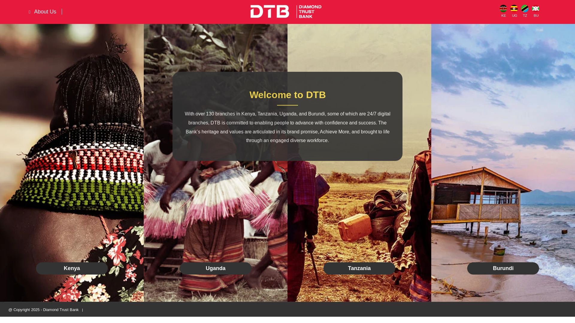 website screenshot of https://dtbafrica.com/
