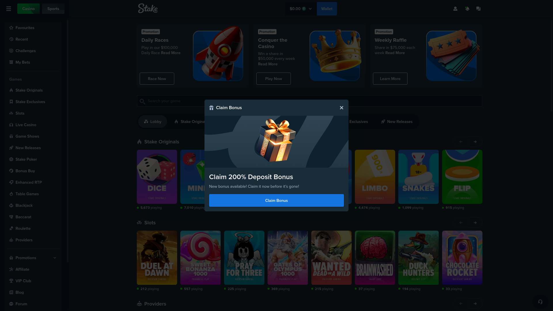 website screenshot of https://stake13.win/