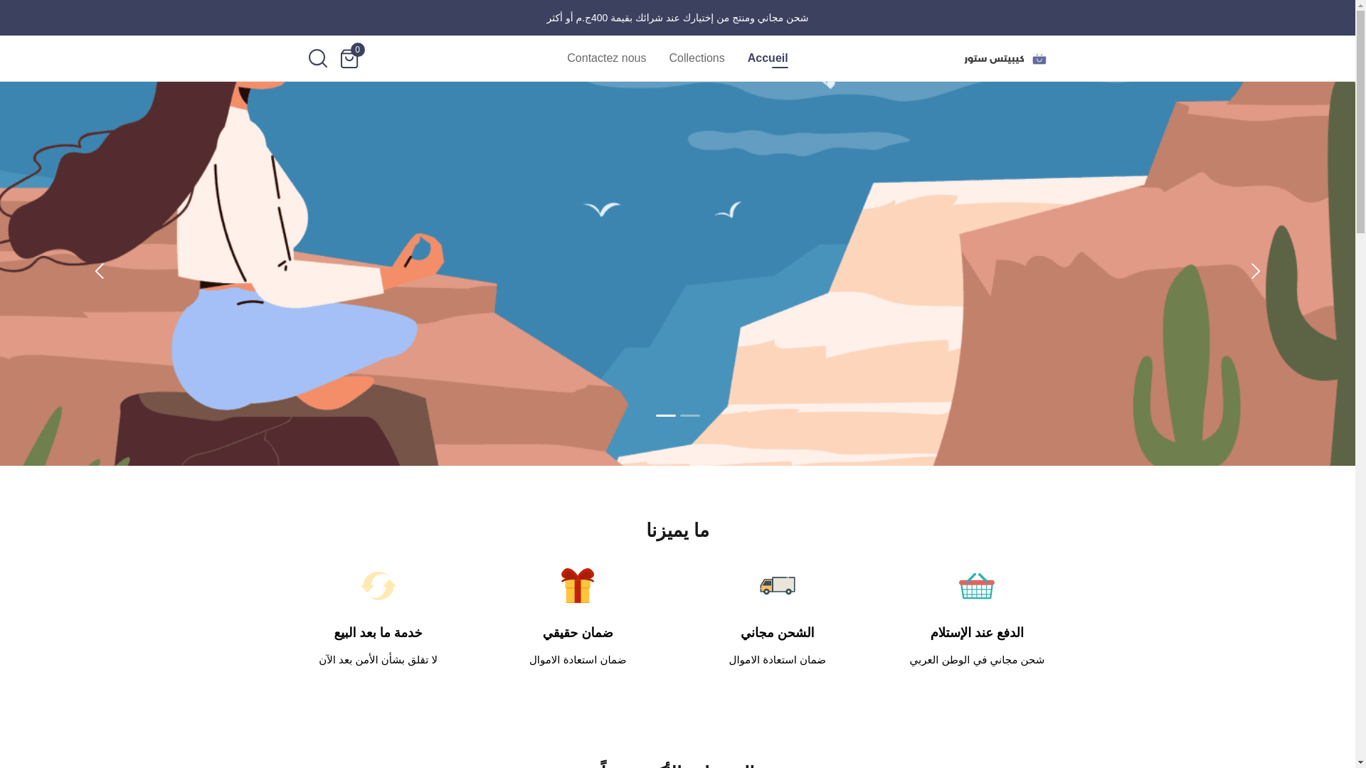 website screenshot of https://phoneexpert71.com/