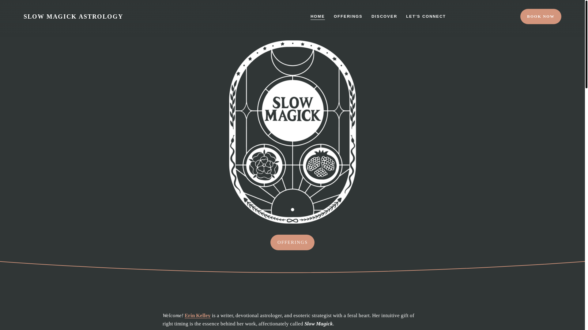 website screenshot of https://erinckelley.com/