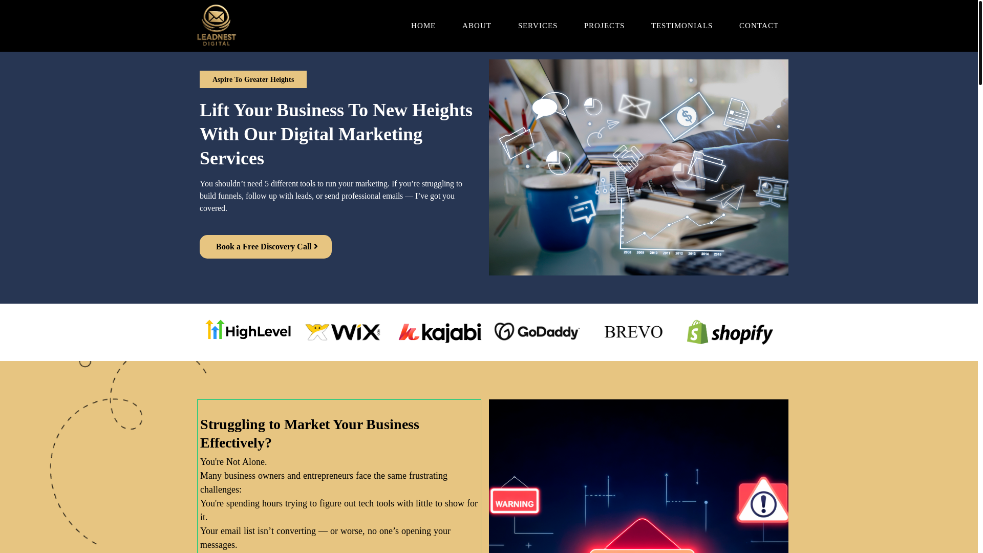 website screenshot of https://leadnestdigital.com/