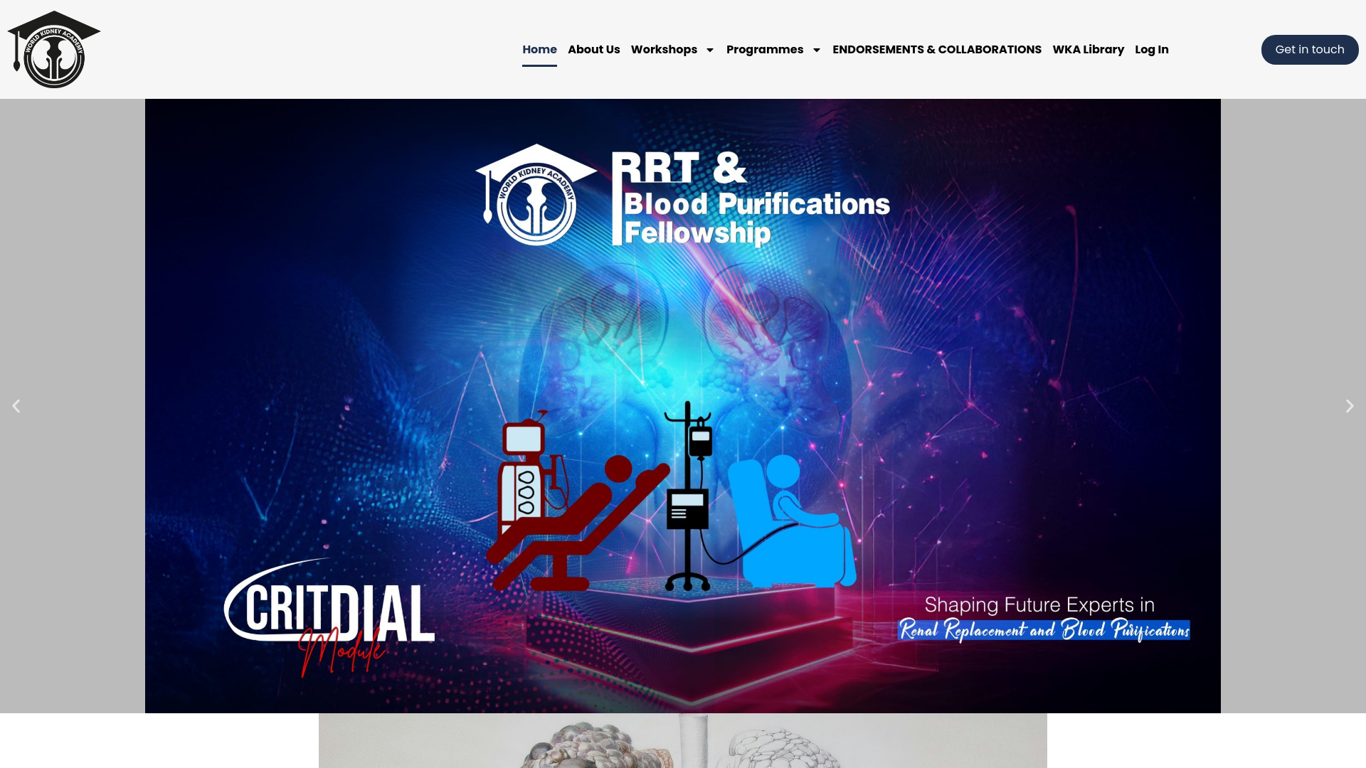 website screenshot of https://worldkidneyacademy.org/