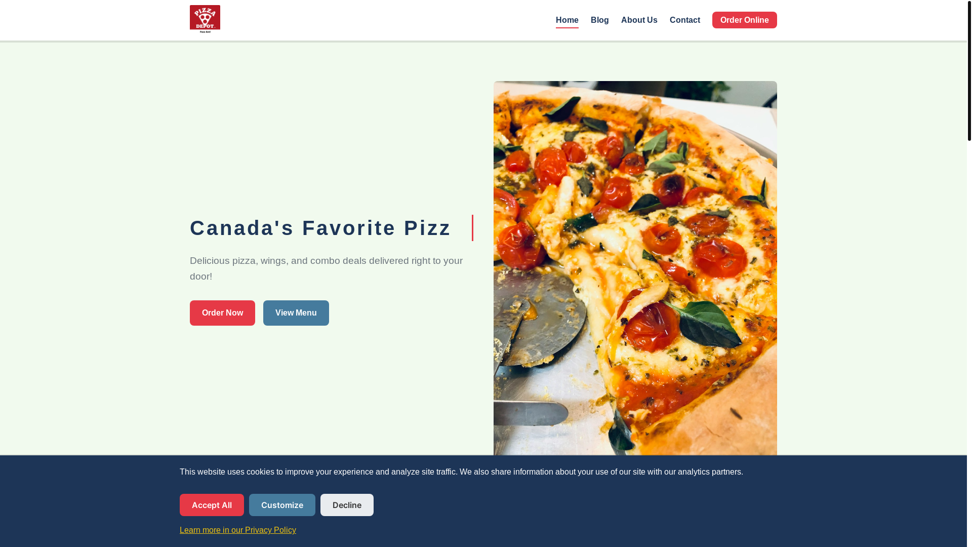 website screenshot of https://plzzadepot-orderca.world/