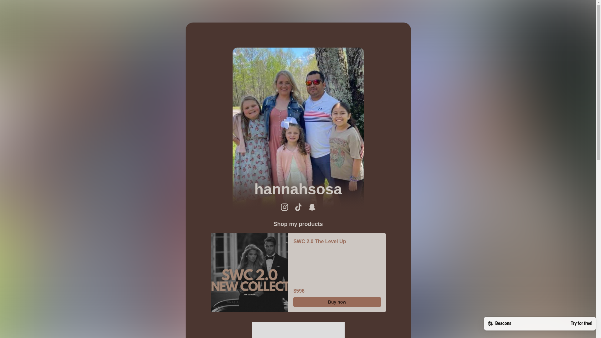 website screenshot of https://hannahsosa.com/