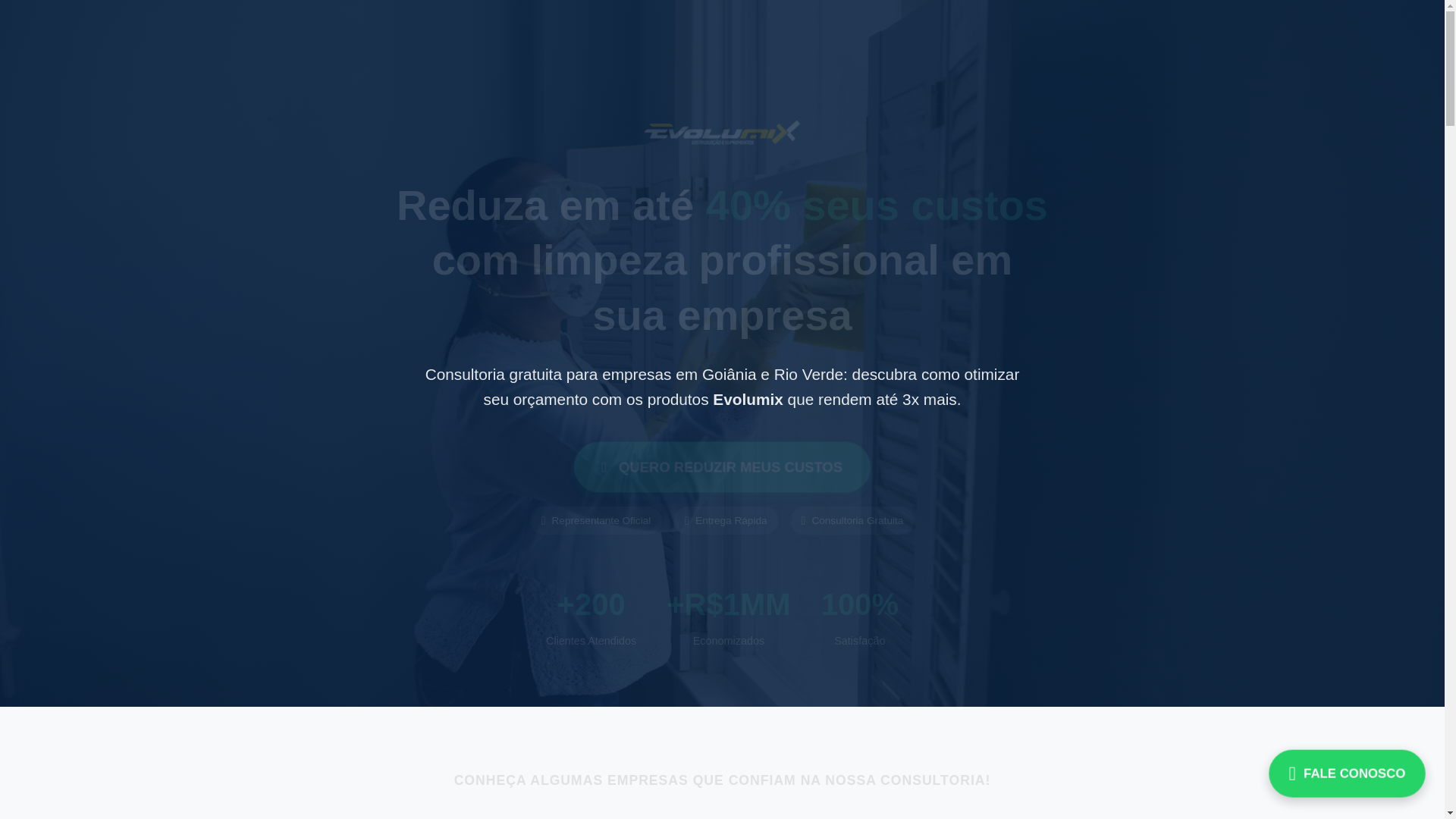 website screenshot of https://evolumixdistribuicao.com.br/