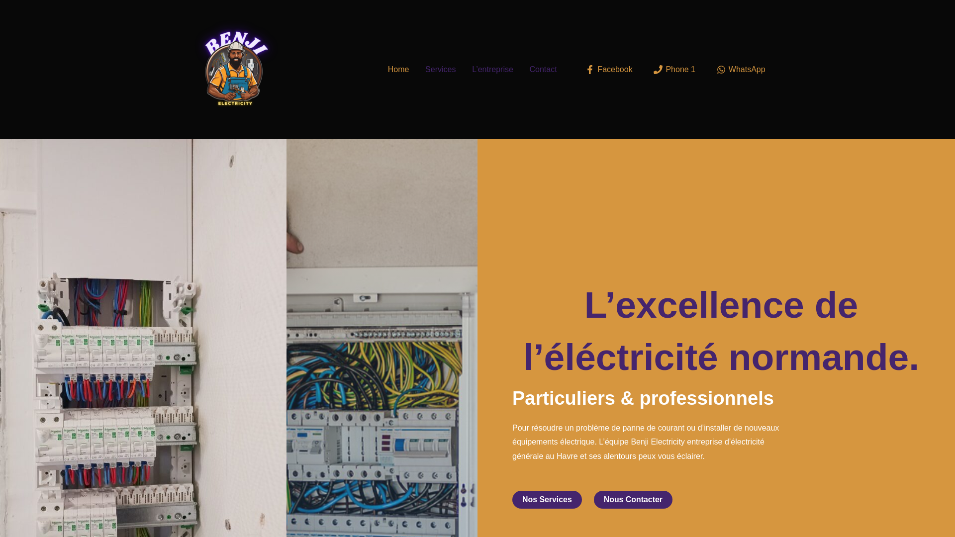 website screenshot of https://benjielectricity.com