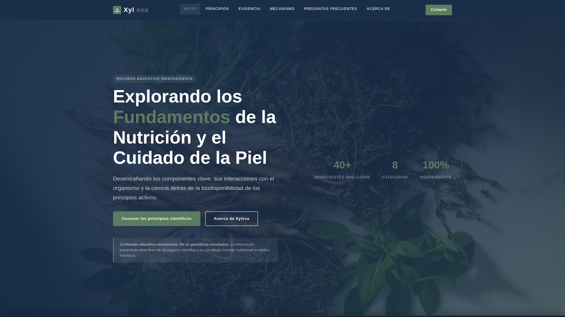 website screenshot of https://xyleva.info/